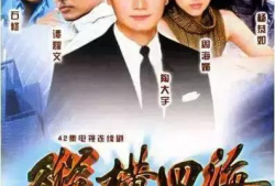 纵横四海 电视剧,传奇特工的生死较量