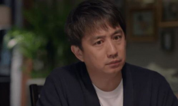 电视剧黄磊,从演员到导演，演绎人生百态